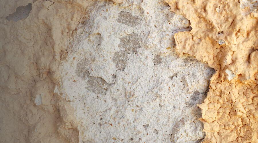 Why choose water damage restoration service for emergency water extraction services in Pompano Beach